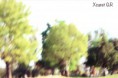 /album/fotogaleria-impresionista/a20-jpg/