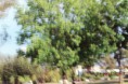 /album/fotogaleria-impresionista/a21-jpg/