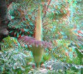 /album/a3d/planta-3d-jpg/
