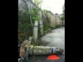 /album/dando-vida/imagen1-jpg/
